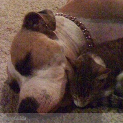 Pet Care Provider Tricia C's Profile Picture