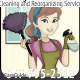 Cleaning and Reorganizing Service.