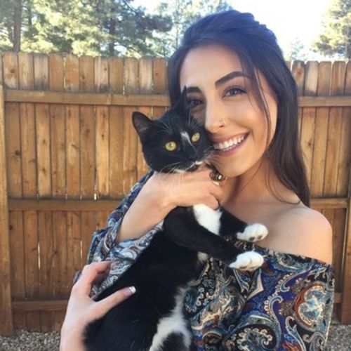 Pet Sitter (kitty) for April 7th9th Pet Sitter Job in Flagstaff, AZ