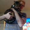Quiet, respectful adult experienced with House and Pet sitting.