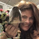 Baton Rouge House Sitter Interested In Work