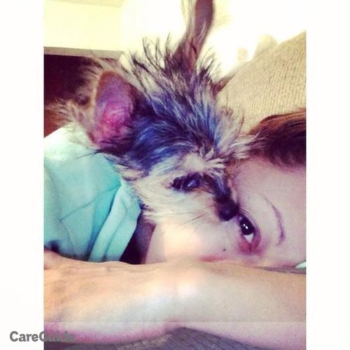 Pet Care Provider Tisha A's Profile Picture