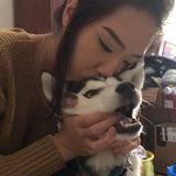 Your furry friend will be in great hands !