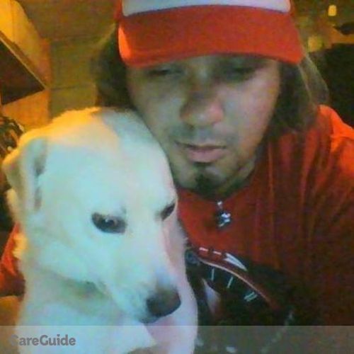 Pet Care Provider Said C's Profile Picture
