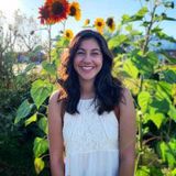 Knowledgeable House Sitter around the world; currently in Mountain View, CA.