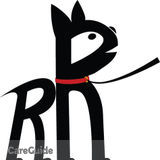 Dependable Dog Walker available in the Junction!