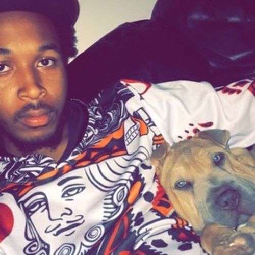 Pet Care Provider Raheim F's Profile Picture