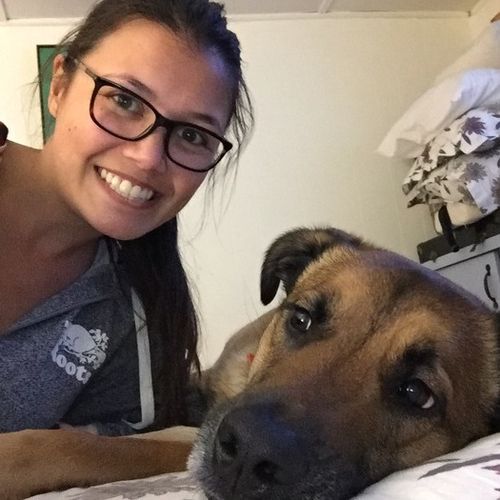 Pet Care Provider Lauren B's Profile Picture