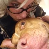Available For a Dog Sitting/Rump rubs/New Best Human Friend Professional Job in Winston/Douglasville and surrounding areas!