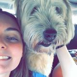Greensburg Pet Sitter Seeking Job Opportunities