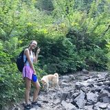 Dog walking, cat sitting, small animal sitting, and whatever else you need!