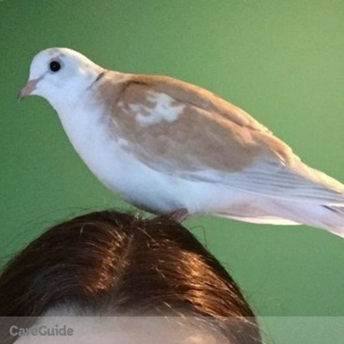 Pet Care Provider Allyson G's Profile Picture