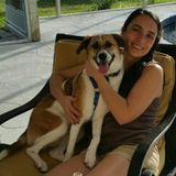 Where Pets are Family