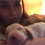 Animal lover & great with pets; searching for a job during free time
