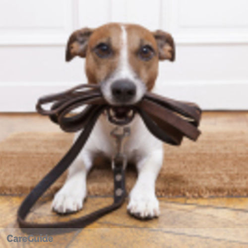 Pet Care Provider Precious P's Profile Picture
