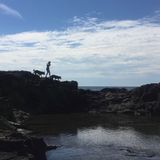 Calgary Dog Sitting With Many Years Of Experience