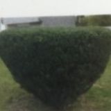 We are Foxy Landscaping and Painting LLC. For both your landscape and painting needs.