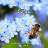 Detailed Cleaner
