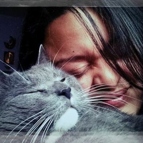 Pet Care Provider Erica O's Profile Picture
