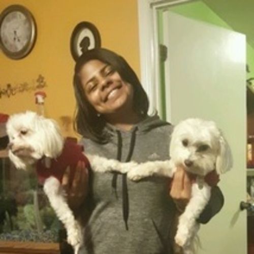 House Sitter Provider Brittany Rogers's Profile Picture