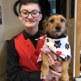 17 year old Veterinary Assistant looking to make some extra money for college doing what I love!