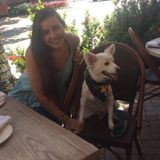 Experienced, Responsible Petsitter