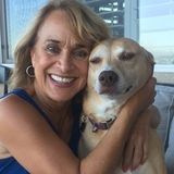 Interviewing For Los Angeles Pet Care Provider Jobs