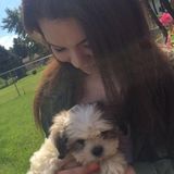 Seeking Roscoe Pet Sitter Jobs