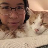 Dedicated animal lover who just wants to make going away and leaving your beloved pet(s) behind less stressful for you.