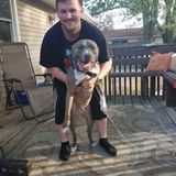 Huge animal lover with a vast amount of time with various animals.