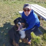 Knowledgeable Dog Lover Available for Petsitting and Walking in Red Deer