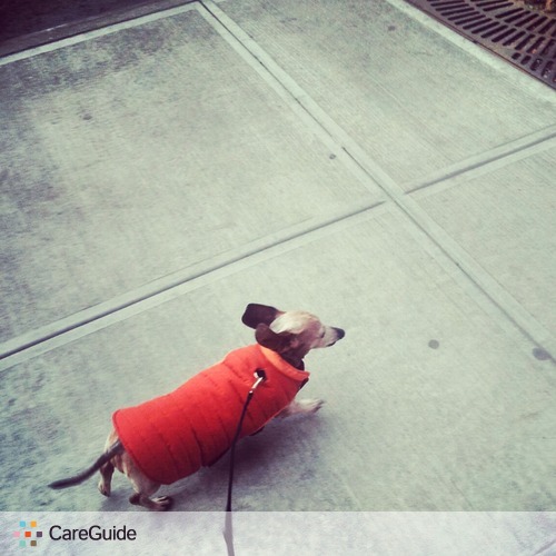 Pet Care Job Catherine S's Profile Picture