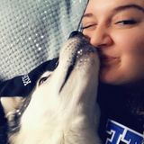 Vet tech student available for pet sitting!