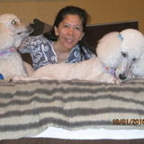 Skillful Dog Walker