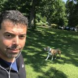 Experienced and Loving Pet Sitter Available