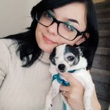I have plenty of experience, and I can take care of animals post-op!