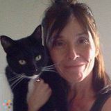 Pet Sitting- Dogs and Cats ( puppies and kittens no problem)