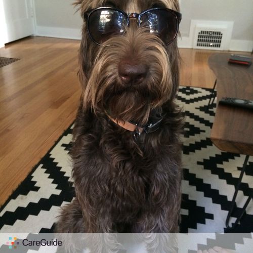 Pet Care Provider Matthew Zigenis's Profile Picture