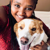 Miami Beach dog sitter interested in being hired.
