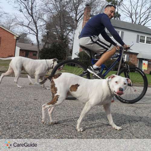 Pet Care Provider Steven W's Profile Picture