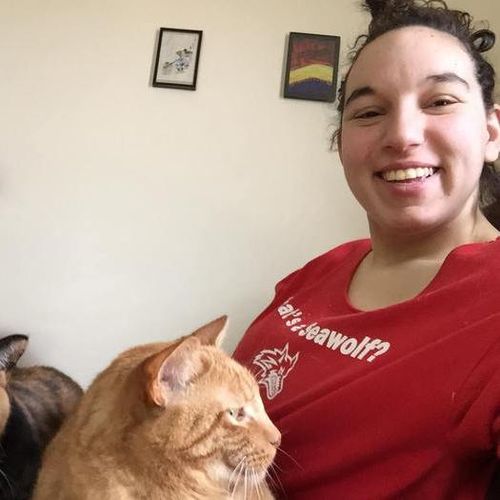 Ashland, WI cat sitting needed for busy travel season Pet Sitter Job