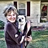 Reliable and experienced petsitter available immediately!