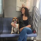 Interviewing For Quakertown Dog Walker Jobs