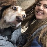 Interviewing For Addison House Sitter, Texas Jobs