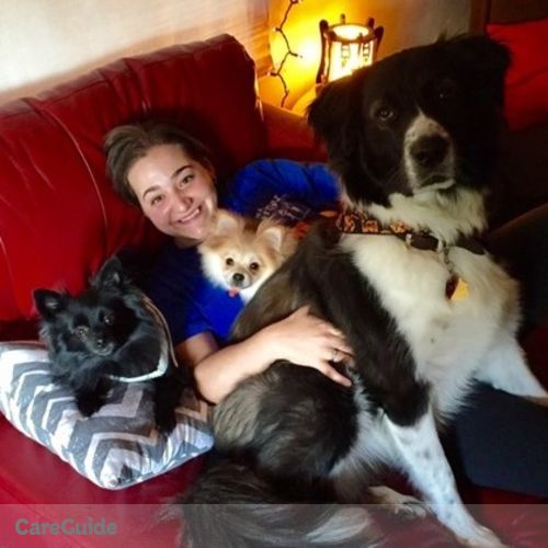 Pet Care Provider Miranda S's Profile Picture