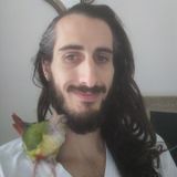 Miami Beach, Florida House Sitter