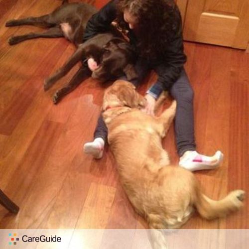Pet Care Provider Brittney Hosmanek's Profile Picture