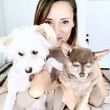 Respectful Housesitter and Animal Lover