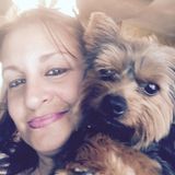 For Hire: Wonderful Pet Service Provider in Bridgeport