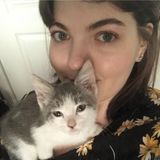 For Hire: Caring animal loving cat or dog sitter in Los Angeles